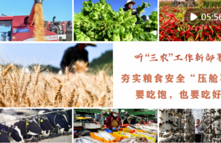 聽“三農”工作新部署｜夯實糧食安全“壓艙石”：要吃飽，也要吃好