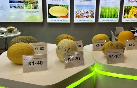 第三屆三亞國(guó)際種業(yè)科技博覽會(huì)：新品種、新技術(shù)、新設(shè)備展現(xiàn)種業(yè)科技新成果
