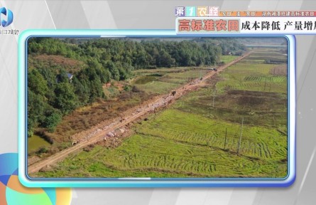 “窄田”變“寬田”，湖南湘潭搶建高標(biāo)準(zhǔn)農(nóng)田