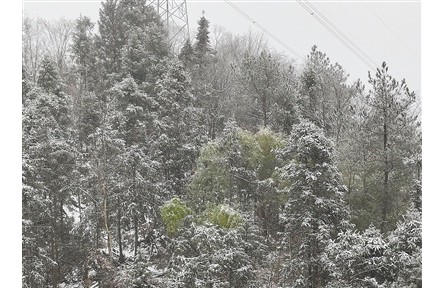 未來兩天將進入本輪雨雪過程最強時段 多地多部門合力應對低溫雨雪冰凍天氣