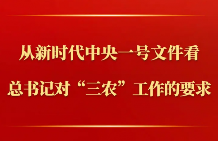 第一觀察 | 從新時(shí)代中央一號文件看總書記對“三農(nóng)”工作的要求