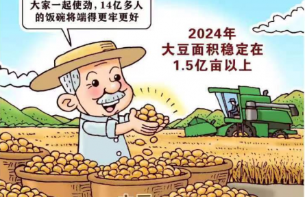 新華鮮報(bào)丨中國穩(wěn)糧新看點(diǎn)！ “金豆豆”1.5億畝以上