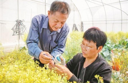 福建廈門種子種苗企業(yè)嚴選優(yōu)質種苗，迎接春耕春播