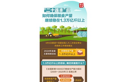 “二十連豐”后，如何確保糧食產(chǎn)量繼續(xù)穩(wěn)在1.3萬億斤以上