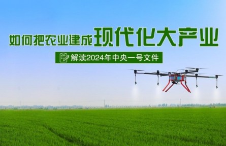 專家快問快答：如何把農(nóng)業(yè)建成現(xiàn)代化大產(chǎn)業(yè)？