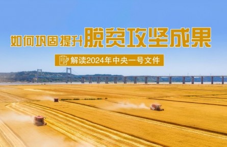 專家快問快答：如何鞏固提升脫貧攻堅成果？