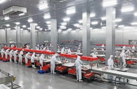 黑龍江：延長產業(yè)鏈 提升價值鏈 打造“糧頭食尾”“農頭工尾”先行地