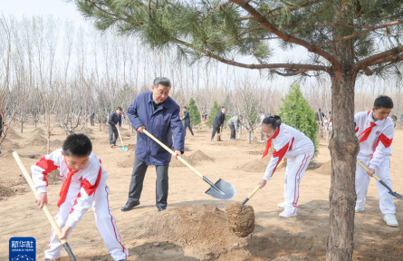 習近平在參加首都義務植樹活動時強調  全民植樹增綠 共建美麗中國