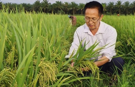楊華德：因?yàn)樽约毫苓^雨，所以也想為別人撐傘