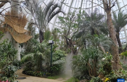 成都世園會(huì)：“神奇植物”在哪里？