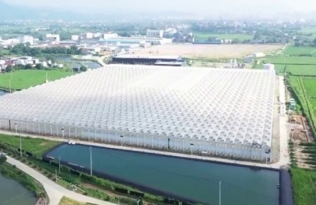 安徽：鄉(xiāng)村產業(yè)提質增效 加速農業(yè)強省建設