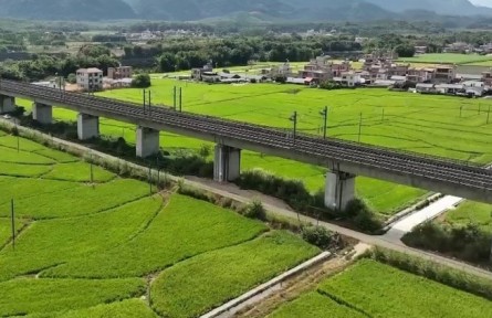 廣東：以頭號力度推進(jìn)頭號工程 助力“百千萬工程”走深走實