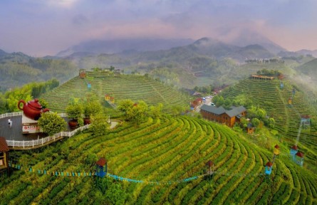 福建三明：品牌賦能，讓高質(zhì)量發(fā)展成色更足