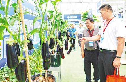 湖北：2024武漢種業(yè)博覽會開幕 3000多個“農業(yè)芯片”集中亮相
