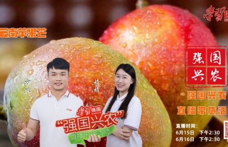 盛夏炎炎，鮮果相伴，“強國興農(nóng)”直播帶貨活動繼續(xù)與您相約