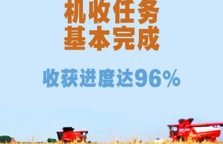 端牢飯碗！全國“三夏”小麥機收任務基本完成