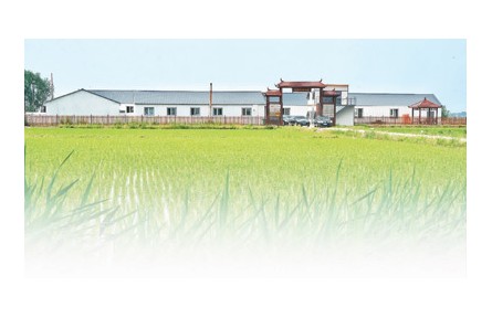 在吉林，105家科技小院正為鄉(xiāng)村振興助力——走進黑土地深處