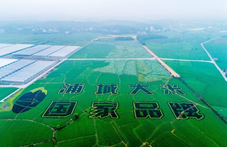 福建浦城：科技賦能，大米產(chǎn)業(yè)邁進(jìn)數(shù)字化時代