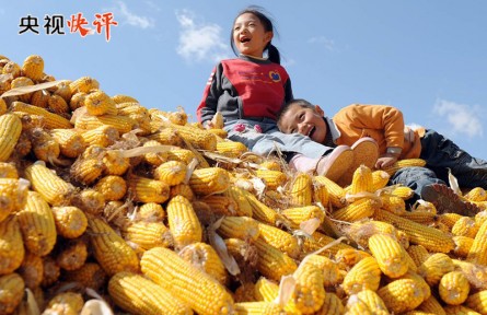 央視快評：把鄉(xiāng)村全面振興的美好藍圖變?yōu)楝F實