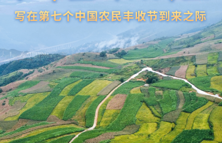 收獲，在希望的田野上——寫在第七個中國農(nóng)民豐收節(jié)到來之際
