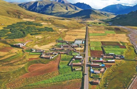 青海囊謙：農(nóng)牧“共舞”，繪就新時代好風景