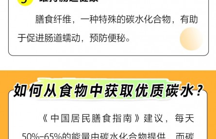 不吃碳水可以嗎？它的這些功能無可替代