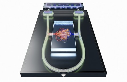 科技名詞|介電電泳 dielectrophoresis；DEP