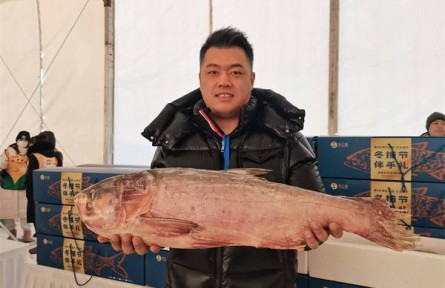 黑龍江：冰城冷水魚以質(zhì)領(lǐng)“鮮”，成冰雪季餐桌一道“大菜”