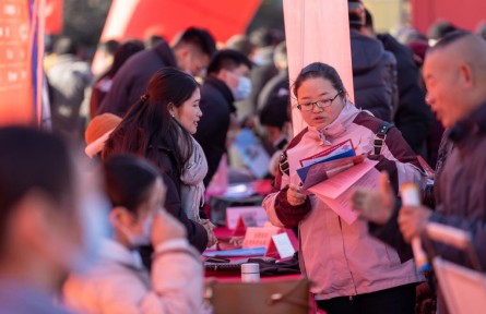 2025年如何穩(wěn)就業(yè)促增收——權威部門解答就業(yè)、收入熱點問題