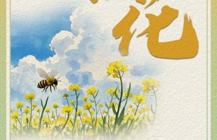 油菜花哪里賞？快收下這份油菜花賞花氣象指南！