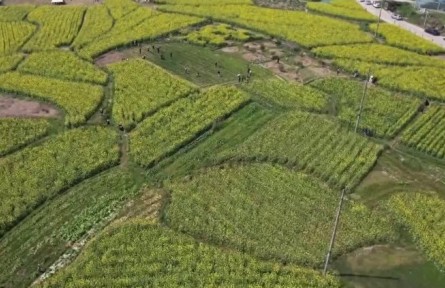福建：在春耕中 “播種”新質生產(chǎn)力