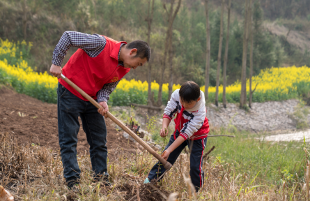 全民義務(wù)植樹運(yùn)動 nationwide voluntary tree-planting campaign