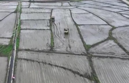 【在希望的田野上】全國(guó)春播糧食超過(guò)一億畝