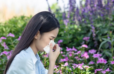 辟謠|對花粉過敏的人不能賞花？