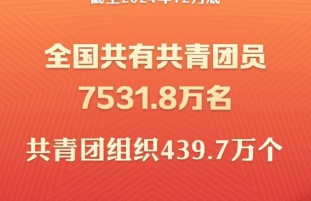 截至2024年底全國(guó)共有共青團(tuán)員7531.8萬(wàn)名