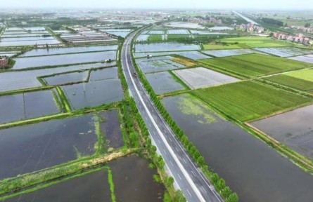 湖北江陵：小龍蝦“鏈”出大產業(yè)！繪就農業(yè)發(fā)展新圖景