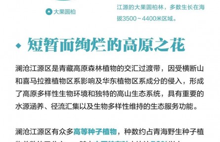 走近三江源|認(rèn)識(shí)三江源：高原峽谷綻生機(jī)（下）