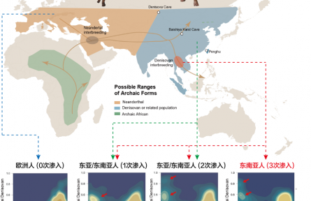 東南亞人群基因密碼破譯 填補(bǔ)全球人類基因組研究“最后一塊拼圖”