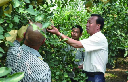 楊雙牛：40年深耕，石頭縫里長出億元產業(yè)