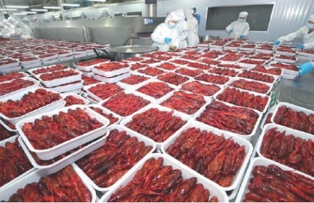 “小龍蝦自由”進(jìn)入下半場
