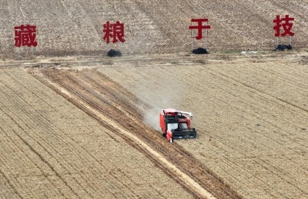 風(fēng)吹麥浪起 再上神禾塬——陜西西安夏收見(jiàn)聞