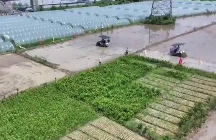 【在希望的田野上·三夏時(shí)節(jié)】全國(guó)已夏播糧食2.7億畝 進(jìn)度過(guò)半