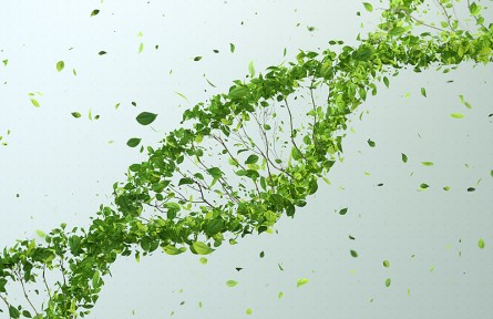 科技名詞|生長(zhǎng)因子 growth factor，GF