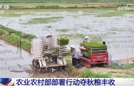全力以赴打牢秋糧豐收基礎(chǔ) 奮戰(zhàn)100天防汛抗災(zāi)、抓夏管、提單產(chǎn)