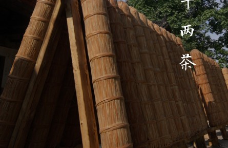 一柱千兩茶，半部茶葉史