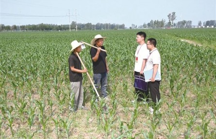 河南護航高標準農(nóng)田建設 筑牢糧食安全根基