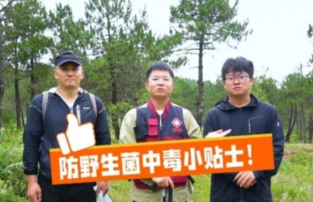 這份“防野生菌中毒小貼士”請(qǐng)收好！