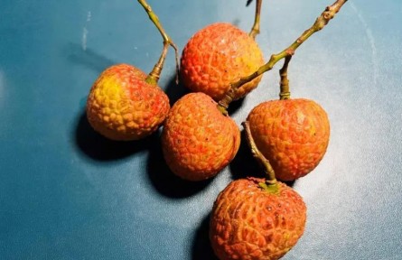 吃荔枝能降糖？千萬不要這么做！