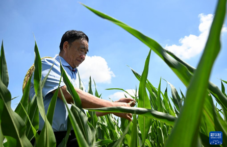 “不管啥時候，都要把地種好”——記時代楷模、“種糧大戶”徐淙祥