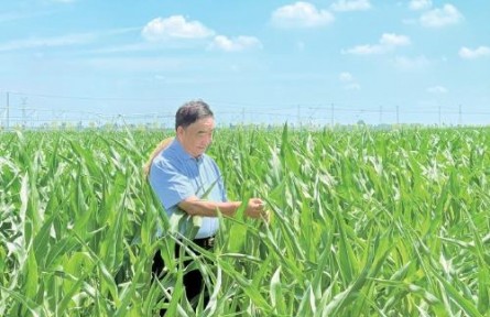 53本筆記，半個世紀“糧心”——記時代楷模、安徽省太和縣種糧大戶徐淙祥